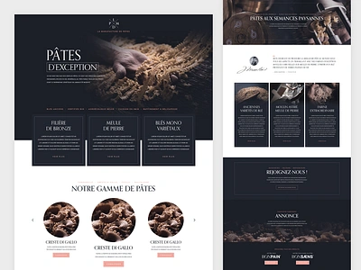 La manufacture des pâtes web design belgium gluten free landing page organic pasta seed uiux webdesign website wheat