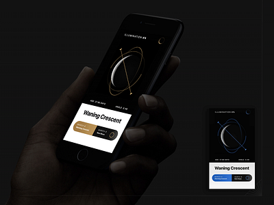 Moon Phases 2019 art celestial challenge clean dark detail geometry minimalistic moon moon phase simple ui ux vector