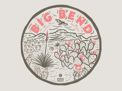 Big Bend big bend cacti cactus national park national parks nature