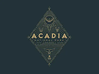 Acadia acadia bear falcon fox moose national park national parks whale