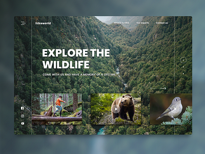 Let's go hiking! card design nature ui design