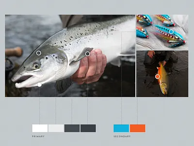 Colored by nature color color palette nature uidesign
