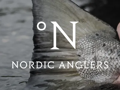 Logo fishing identity logo minimal nordic scandinavian
