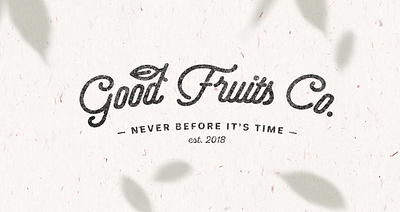 Good Fruit Co. branding design graphic design illustration