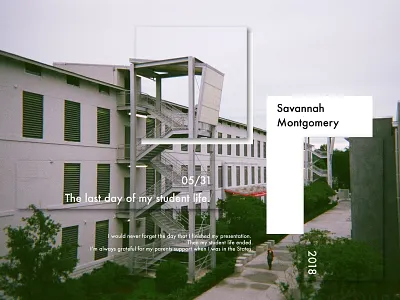 Day 17-30DaysProject design film graphic illustration layout savannah typography visual