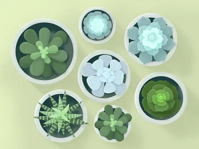 Spring Succulents illustrator plants pots spring succulents