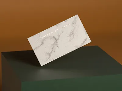 Mayara Spilotro blender3d brand branding cycles generative processing