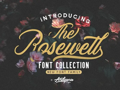 Rosewell Font Collection beauty font branding branding logo coffee font font font collection font family grunge grunge font hand lettered logo logo font lovely font luxury font retro retro font retro font collection script vintage vintage font collection