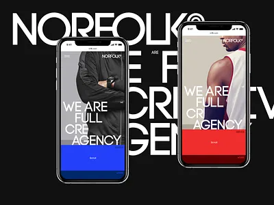NORFOLK© design interface ios iphone main minimal mobile typogaphy ui ux web