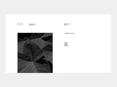 marcovincit.com brazilian designer designers graphic graphicdesign portfolio