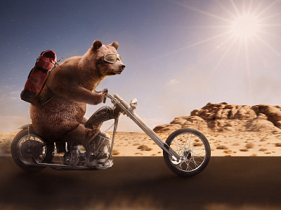 Animals have personalities animals art direction manipulation photo photo editing photo manipulation photo retouch photoshop photoshop art
