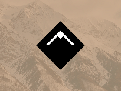 Black Diamond Logo Mark brand agency branding clean clever clever logo company flat graphic design icon icons identity identity design logo logomark mark minimalistic modern negative space