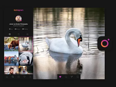 Instagram Pro creative gradient instagram photographer ui user interface