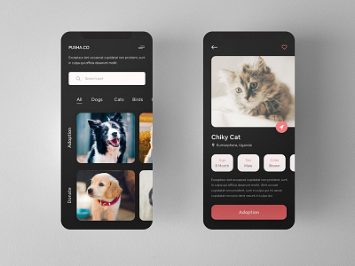 Dark App for Pets Adoption and Donation adopt adoption app application birds dark app design designer exploration help not sale pet adoption pet app pets pets adoption pets donation trend ui ui design ux