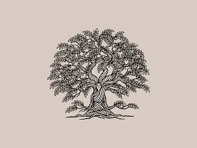 Pagoda Tree’s Gift illustration hand drawn illustration ipadproart line art nature pagoda tree vector woman illustration womantree