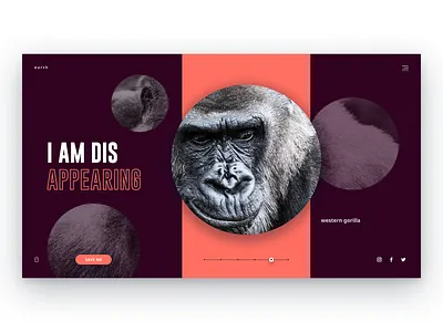Why on Earth animals clean earth free freebie gorilla interface minimal monkey national geographic planet rare travel ui web web design world