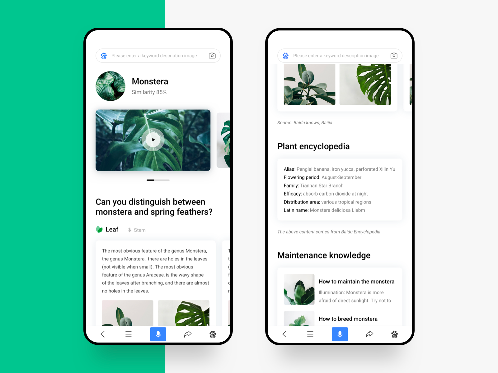 Example of Plant encyclopedia