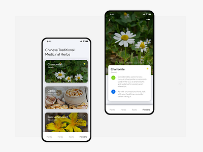 Medicinal herbs directory app concept design interface mobile app photoshop sketch
