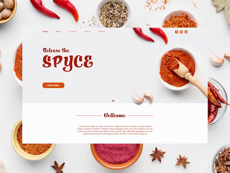 Release the Spyce animation branding landing page ui ux web web design