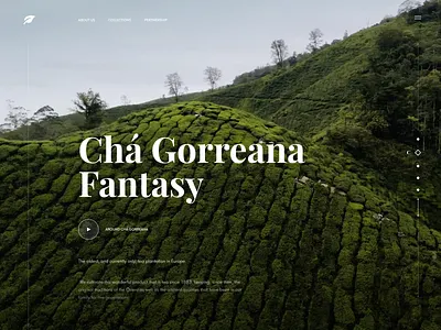 Tea Manufacturer Website Concept background video concept design e commerce font home page landing page mouintain play video product design slider tea tea plantation ui ux web web design
