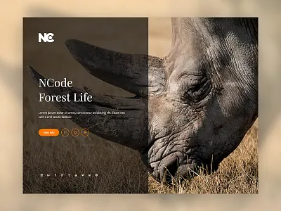 Creative Forest Website animation creative layout minimal site nc ncodeart template ui ui design ui ux ux vector web web design