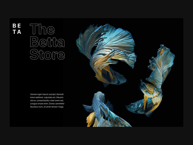 The Betta Store - Luxury design exercise animated betta design fish gif interactive luxury luxury challenge principle sketch ui web design