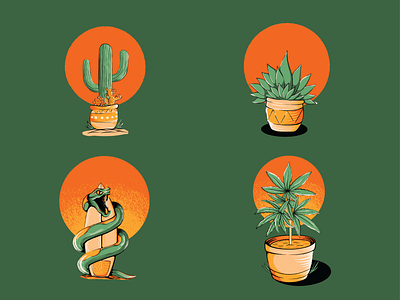 Outdoor Surf and Plant Illustrations adobe branding cactus design flower flowers icon icondesign illustration illustrationdesign illustrator logo outdoors plant plants snake surfboard surfing weed weedplant
