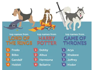 Pat Names Infographic art flat illustration photoshop vector