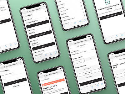 Raised Real — Web design checkout credit card design edit flow food frequency ios iphone x shipment ui ux web