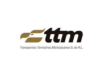 Transportes Terrestres Michoacanos bird brand branding design eagle icon identity logistics logo mark symbol transportation typography vector