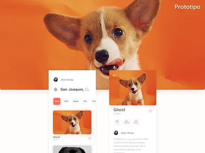 Adoption APP IOS adobexd adoption animal app app apps application chile design dog dribbble ios ui ux