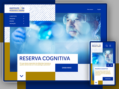 IDOR Website idor institute institutional site design ui user inteface website