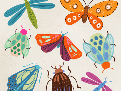 Spring time beetle bug butterfly moth spring