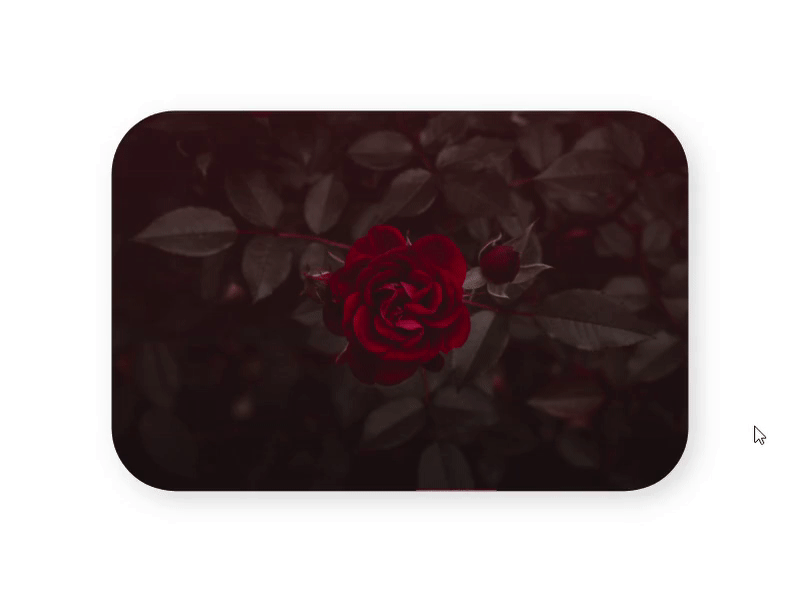 DailyUI #045 Info Card adobe xd animaiton animated app creative daily 100 challenge daily challenge dailyui design dribbble gif gif animated gif animation illustration info info card information design mobile ui web