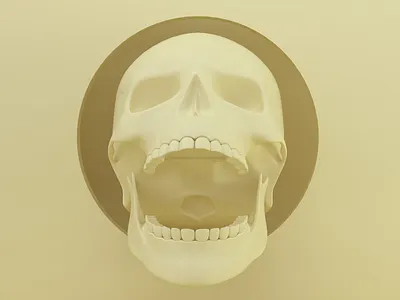 Skull3 3d c4d coronarender skull yellow