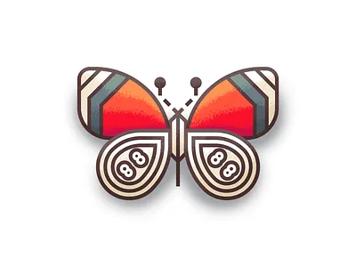 Anna's Eighty-Eight Butterfly (Underside) butterfly illustration illustration art insect retro supply textured