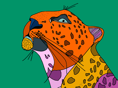 Leopard cat color hand drawn illustration leopard spots whiskers wild animal wild cat wildlife