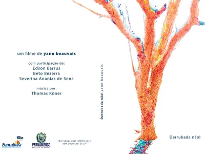 Imburana Study 1 cover art illustration study