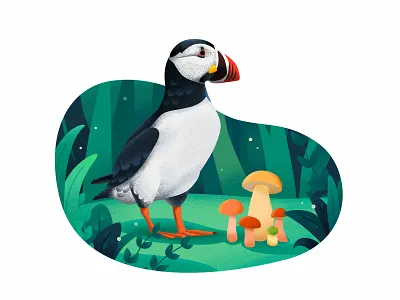 善知鸟（Puffin） ankle bird feather red mouth firefly fungus green grass illustration mouth mushroom red