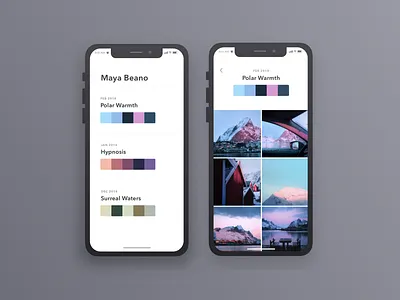 Colors mobile photo app ui