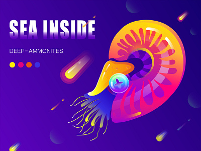 Nautilus illustration【鹦鹉螺】 design illustration typography ui 插图