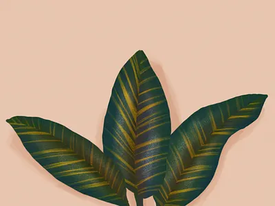 Feuillages botanic botanical design dessin drawing forest garden illustration jungle leaf leaves pink vegetal wildlife