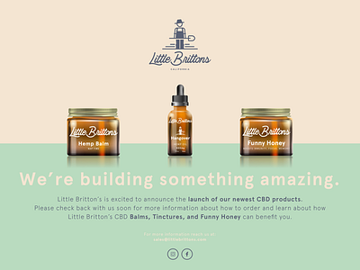 Little Brittons Landing art branding design illustration little brittons packaging web design