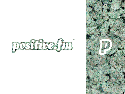 Positive.fm // Logo concept branding colors design flat french icon illustration illustrator lettering logo logotype minimal outline process typography ui vector web website weed