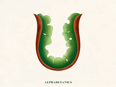 U for Alphabetanics 36daysoftype botanicalart botanics floraldesign illustration letter procreate typedesign typography u