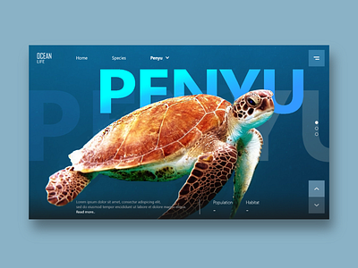 Ocean Life Landing Page landing page ui ux web website