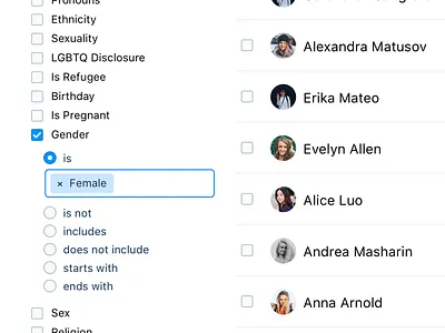 Segmentation tool detail chip field ui ux web