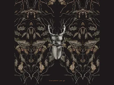 Stag beetle pencil illustration art beetle bug flora handdrawn illustration illustrationart käfer larabispinck mirrorart nature pencil pencilillustration stagbeetle