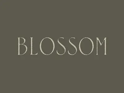 Blossom design font letter lettering letters type type design typeface typography