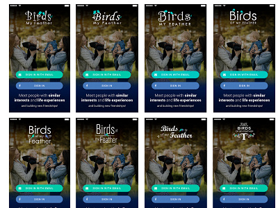 Logo for "Birds of my Feather" app branding design illustration logo ui vector